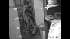 play Assista a essa gostosa gostosa sendo safada na sala de estoque - foda hardcore e gozada